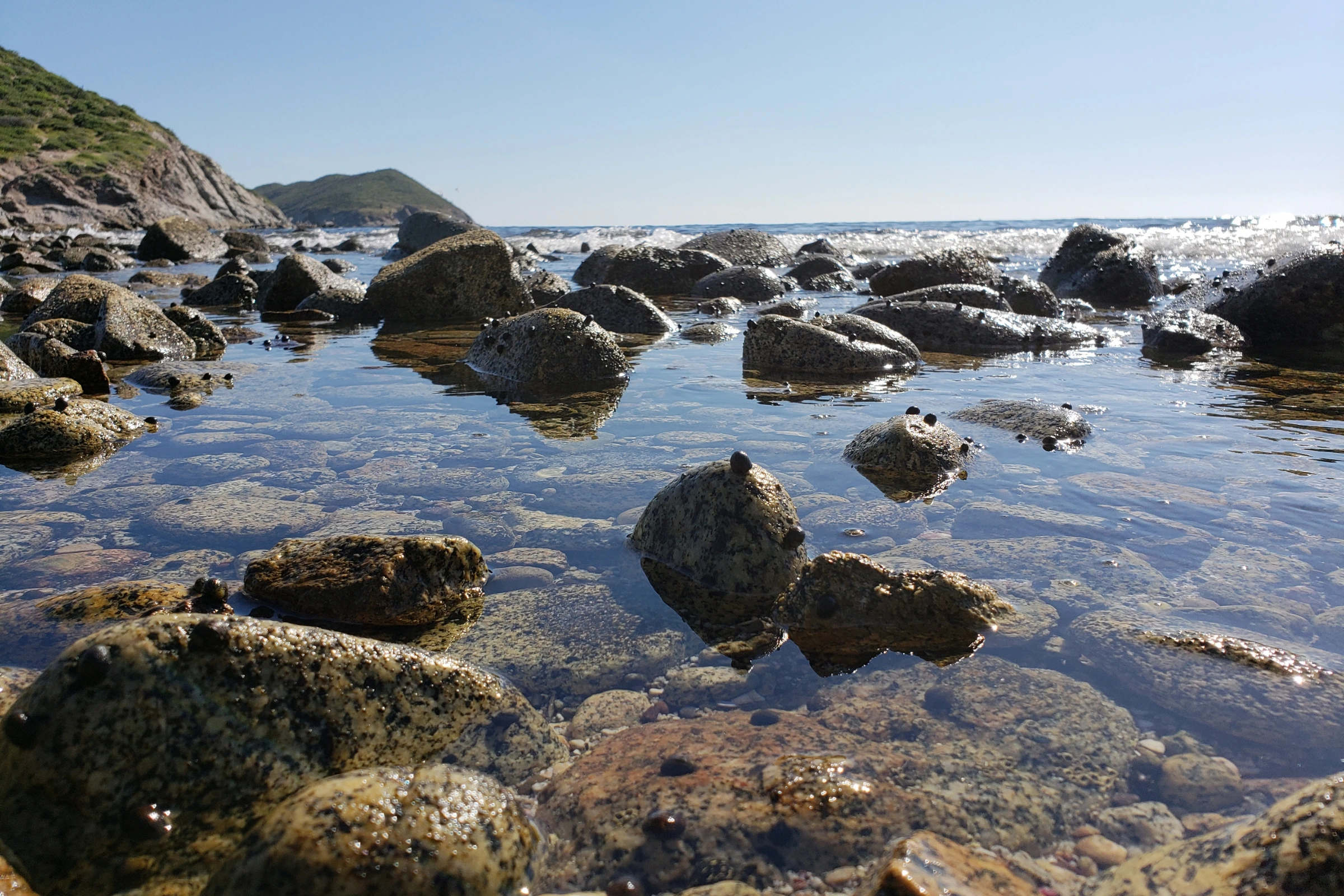 San_Carlos[1].webp